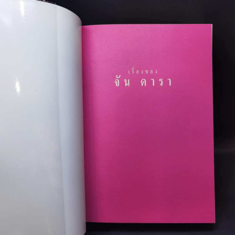 เรื่องของจัน ดารา - อุษณา เพลิงธรรม รูปที่ 8
