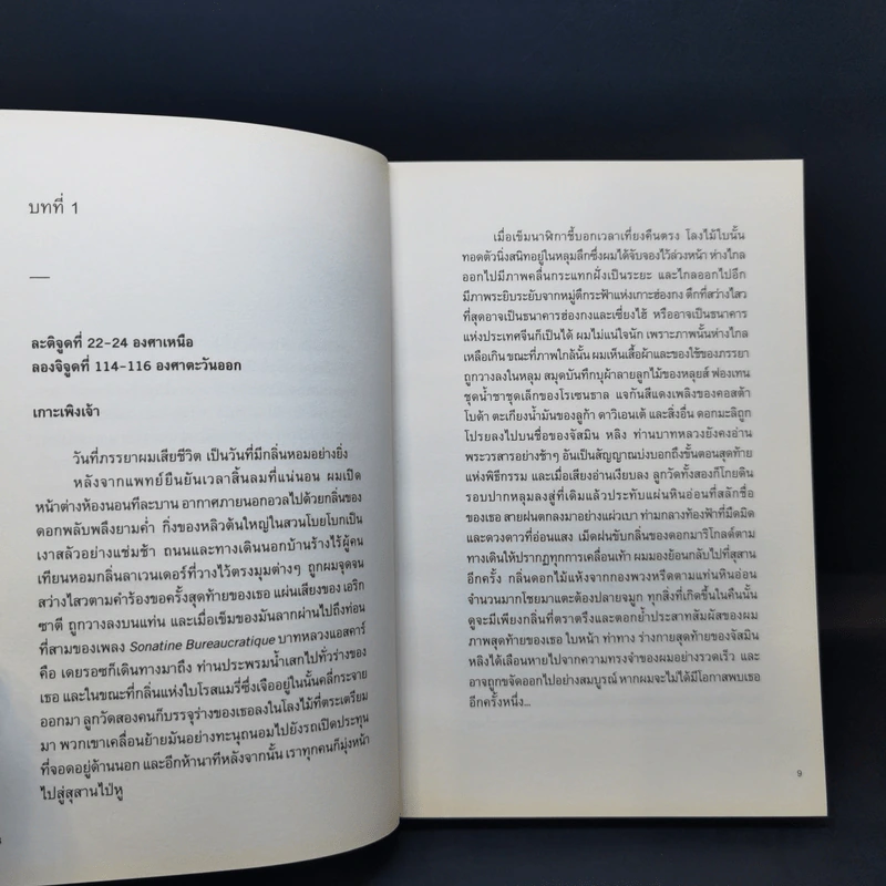 เพลงรักนิวตริโน - อนุสรณ์ ติปยานนท์ รูปที่ 10
