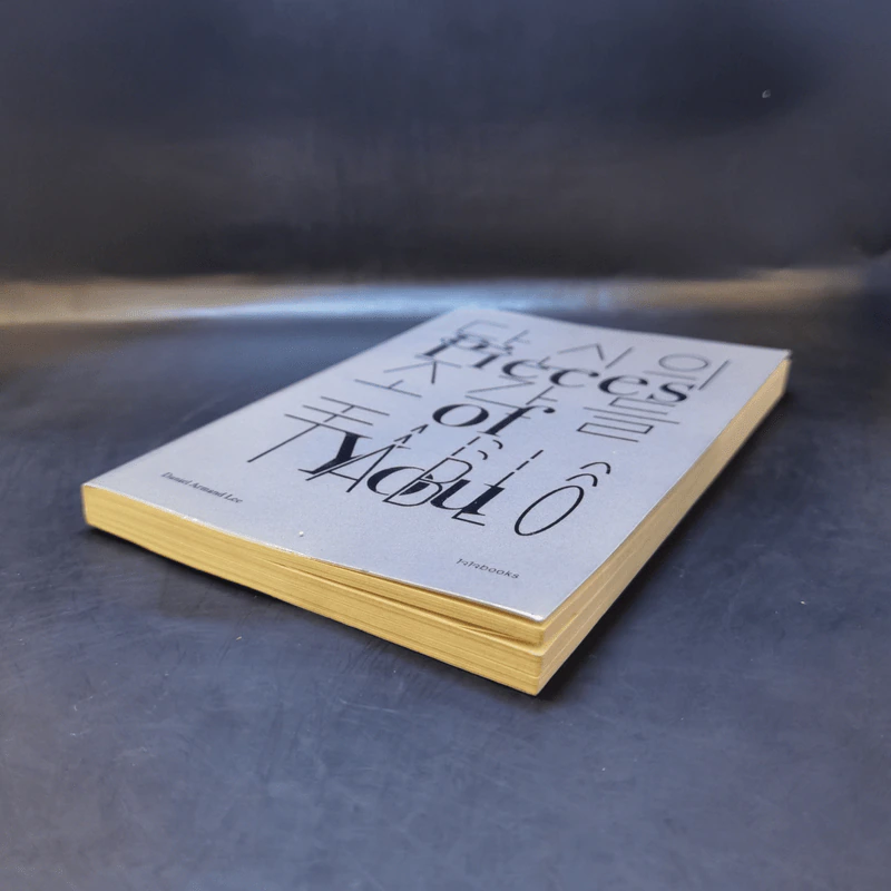 เศษเสี้ยวของเธอ : Pieces of You - Daniel Armand Lee (แดเนียล อาร์มันด์ ลี) รูปที่ 7