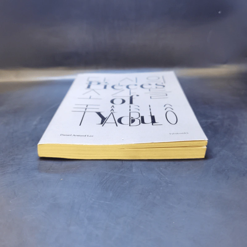 เศษเสี้ยวของเธอ : Pieces of You - Daniel Armand Lee (แดเนียล อาร์มันด์ ลี) รูปที่ 4