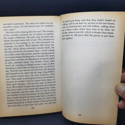 The Virgin Suicides - Jeffrey Eugenides รูปที่ 11