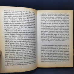 The Virgin Suicides - Jeffrey Eugenides รูปที่ 10