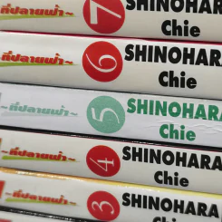 ตะวันรักที่ปลายฟ้า 28 เล่มจบ รูปที่ 6
