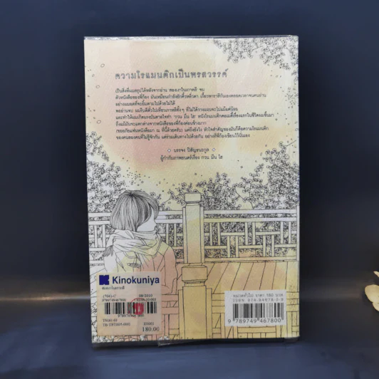สองเงาในเกาหลี - ทรงกลด บางยี่ขัน รูปที่ 2