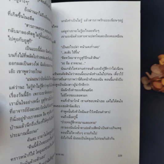 หันมาทางนี้เถอะนะ, โมโมเสะ - โอตสึ อิจิ รูปที่ 11