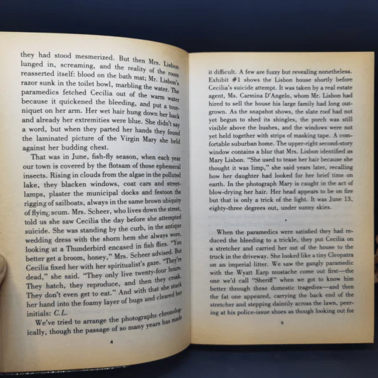 The Virgin Suicides - Jeffrey Eugenides รูปที่ 10
