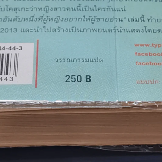 หญิงสาวในแสงตะวัน - โอซามุ โคชิงายะ รูปที่ 13