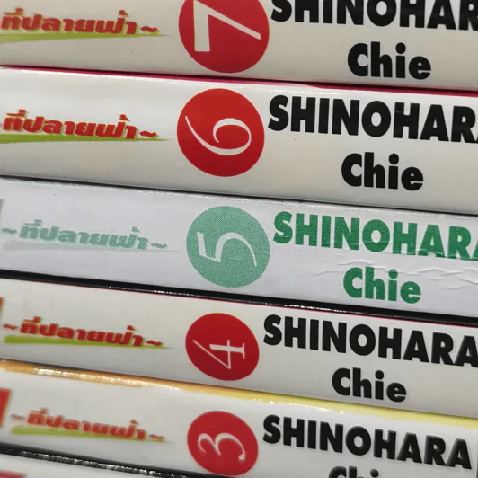 ตะวันรักที่ปลายฟ้า 28 เล่มจบ รูปที่ 6