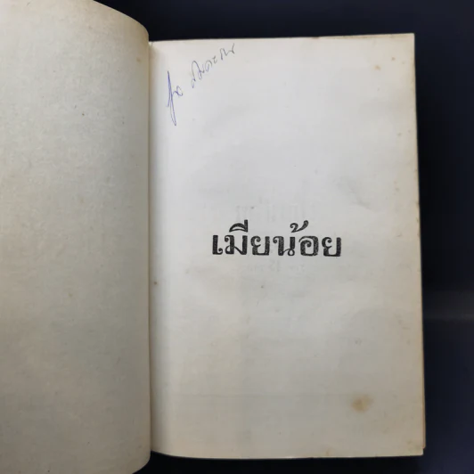 เมียน้อย 2 เล่มจบ - ทมยันตี รูปที่ 8