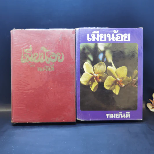 เมียน้อย 2 เล่มจบ - ทมยันตี รูปที่ 1