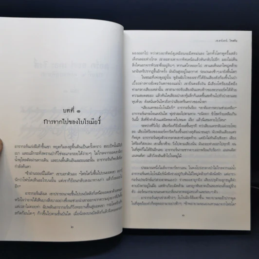 The Lord of the Rings 3 เล่มจบ + ตำนานแห่งซิลมาริล - เจ.อาร์.อาร์ โทลคีน รูปที่ 22