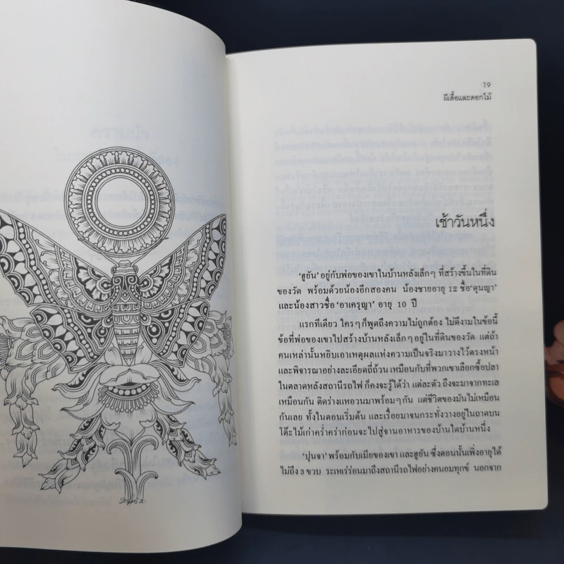 ผีเสื้อและดอกไม้ - นิพพานฯ รูปที่ 11
