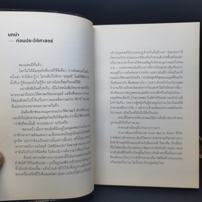 Early Desire ประวัติศาสตร์ใต้สะดือ - โตมร ศุขปรีชา รูปที่ 8