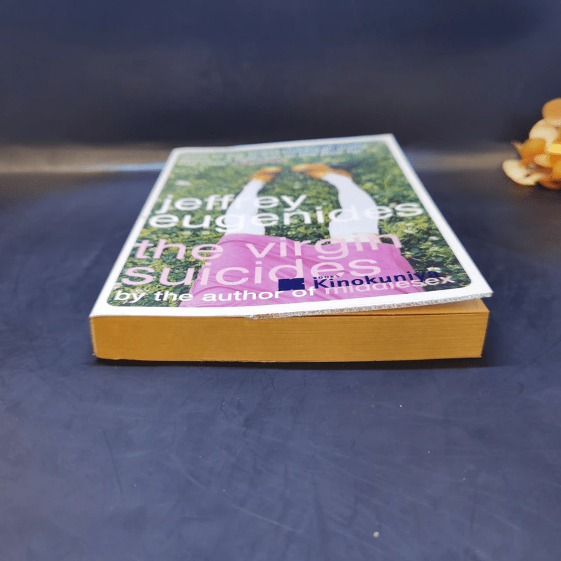 The Virgin Suicides - Jeffrey Eugenides รูปที่ 4
