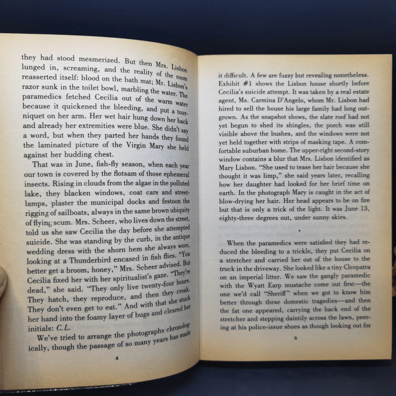 The Virgin Suicides - Jeffrey Eugenides รูปที่ 10