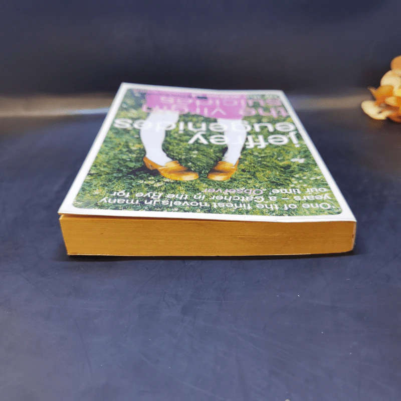 The Virgin Suicides - Jeffrey Eugenides รูปที่ 6