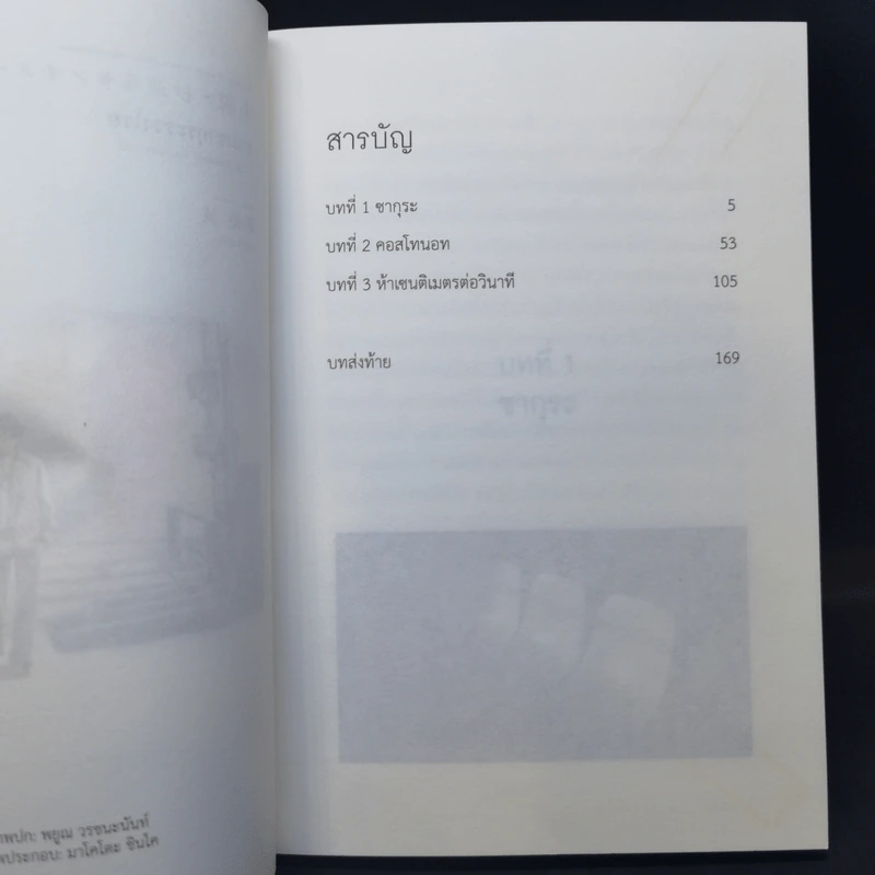 ยามซากุระร่วงโรย - Makoto Shinkai (มาโคโตะ ชินไค) รูปที่ 9