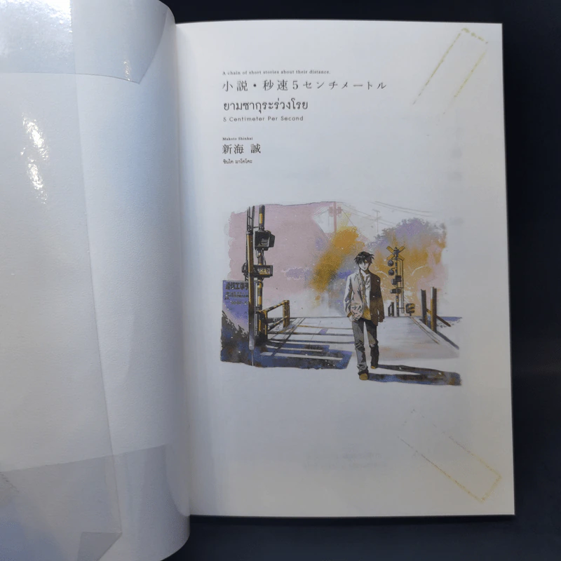 ยามซากุระร่วงโรย - Makoto Shinkai (มาโคโตะ ชินไค) รูปที่ 8