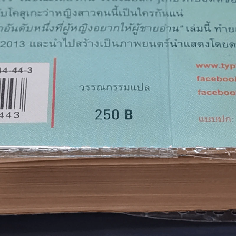 หญิงสาวในแสงตะวัน - โอซามุ โคชิงายะ รูปที่ 13