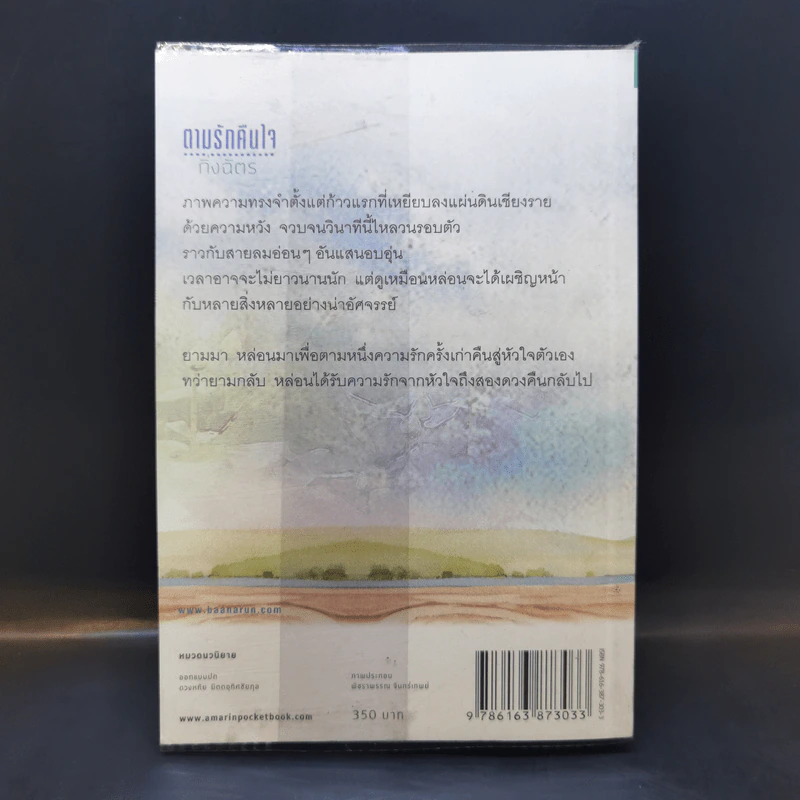 ตามรักคืนใจ - กิ่งฉัตร รูปที่ 2