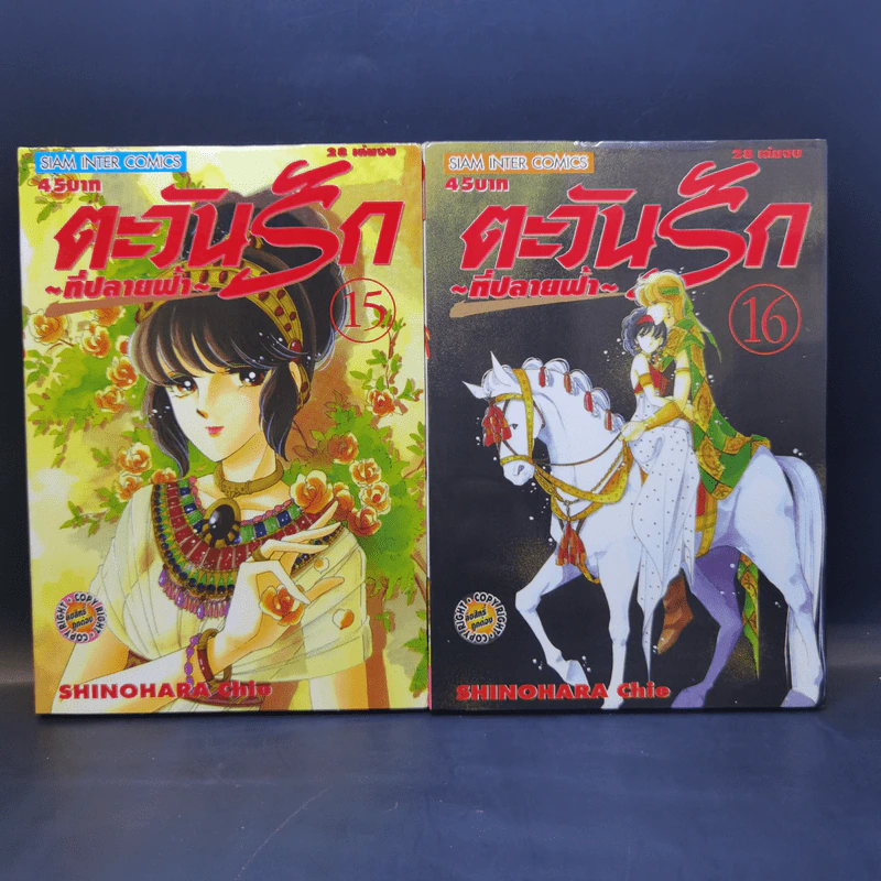 ตะวันรักที่ปลายฟ้า 28 เล่มจบ รูปที่ 15