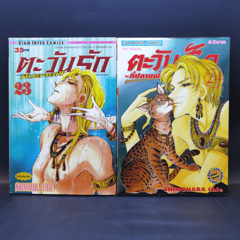 ตะวันรักที่ปลายฟ้า 28 เล่มจบ รูปที่ 19