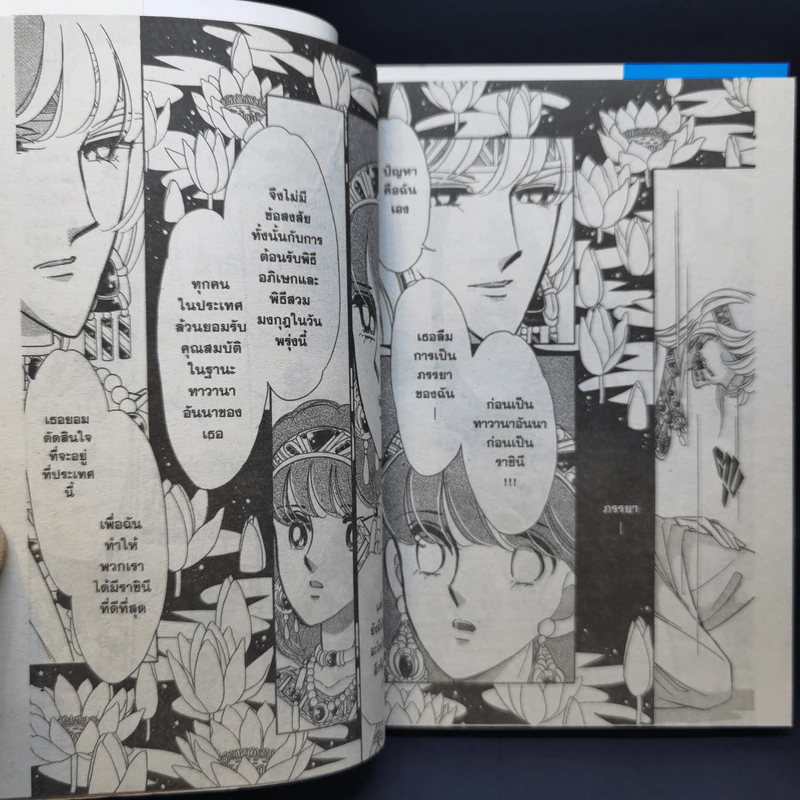 ตะวันรักที่ปลายฟ้า 28 เล่มจบ รูปที่ 26