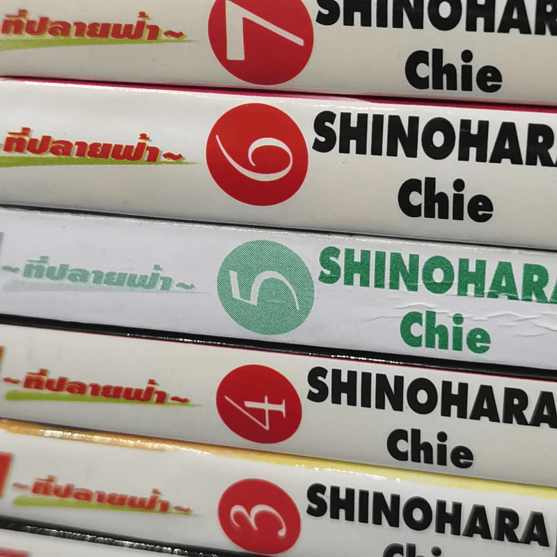 ตะวันรักที่ปลายฟ้า 28 เล่มจบ รูปที่ 6