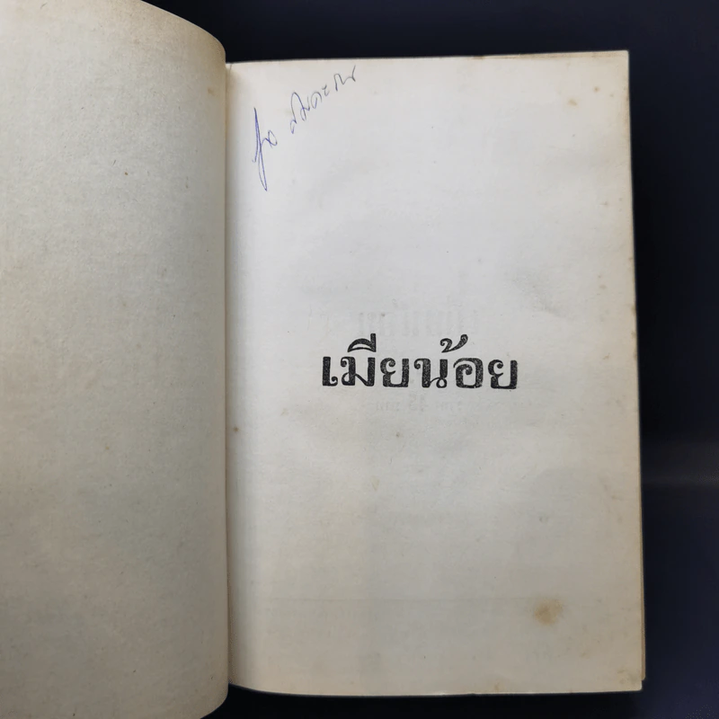 เมียน้อย 2 เล่มจบ - ทมยันตี รูปที่ 8