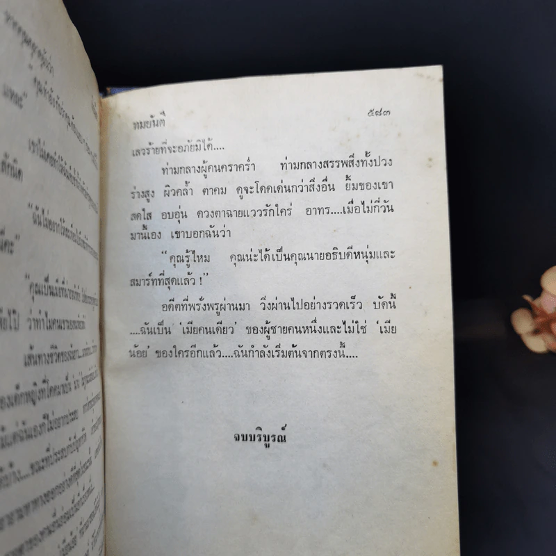 เมียน้อย 2 เล่มจบ - ทมยันตี รูปที่ 13