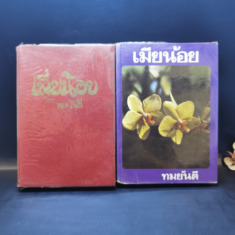 เมียน้อย 2 เล่มจบ - ทมยันตี รูปที่ 1