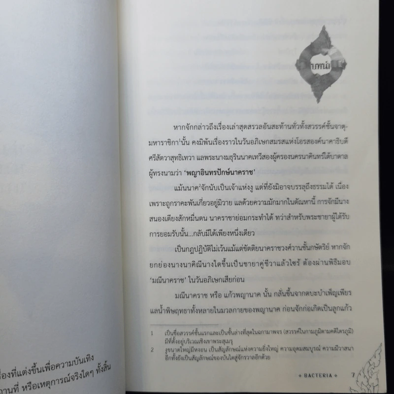 นิยายวาย บ่วงนาคบาศ - Bacteria รูปที่ 9