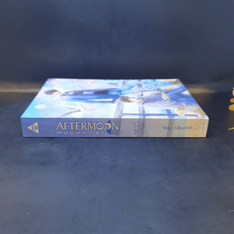 นิยายวาย Aftermoon จันทร์ระฟ้า - Chesshire รูปที่ 3