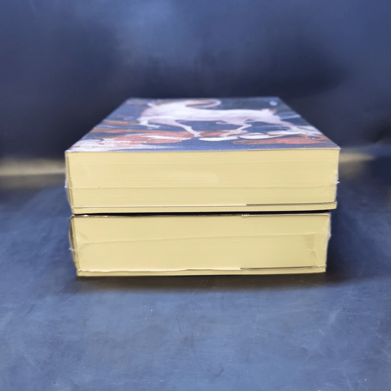 นิยายวาย สารบัญชุมนุมปีศาจ เล่ม 1-2 - Arise Zhang รูปที่ 4