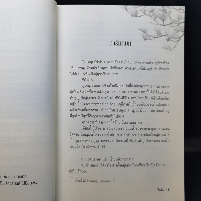 หนึ่งวสันต์สวรรค์บันดาล - ซือซิง รูปที่ 9