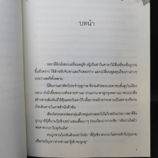 ฮูหยินเฝ้ารัก - FrostyNight รูปที่ 9
