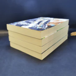 เรียกข้าว่าคุณหนูอันดับหนึ่ง เล่ม 4,5,6,7 - เชียนซานฉาเค่อ (Qian Shan Cha Ke) รูปที่ 6