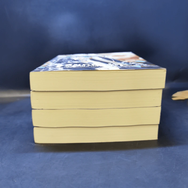 เรียกข้าว่าคุณหนูอันดับหนึ่ง เล่ม 4,5,6,7 - เชียนซานฉาเค่อ (Qian Shan Cha Ke) รูปที่ 3