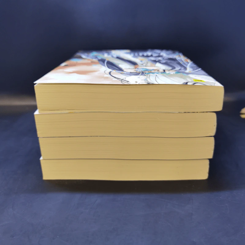 เรียกข้าว่าคุณหนูอันดับหนึ่ง เล่ม 4,5,6,7 - เชียนซานฉาเค่อ (Qian Shan Cha Ke) รูปที่ 5