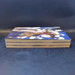 การ์ตูนวาย รัชทายาท ฉบับการ์ตูน เล่ม 1-3 - เฟิงน่ง รูปที่ 5
