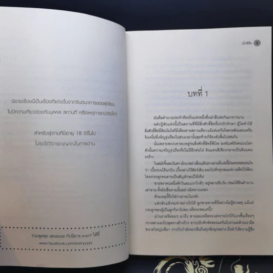 นิยายวาย มังกรอำพราง 2 เล่มจบ - เมิ่งซีสือ รูปที่ 10