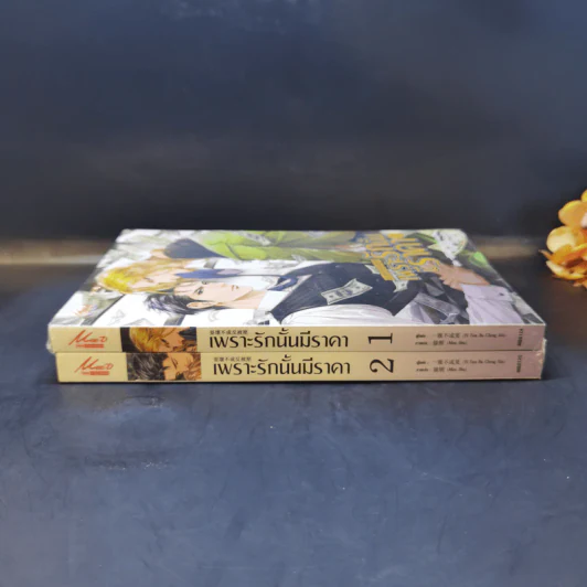 นิยายวาย เพราะรักนั้นมีราคา เล่ม 1-2 - Shua Huai Bu Cheng Fan Bei Ya รูปที่ 3