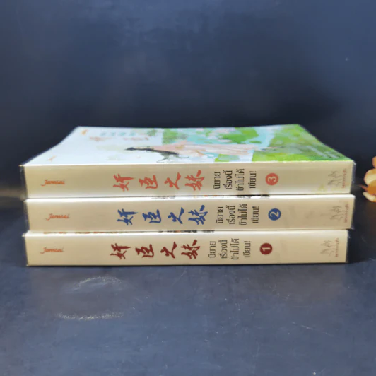 นิยายแจ่มใส นิยายเรื่องนี้ข้าไม่ได้เขียน เล่ม 1-3 - ฉางโกวลั่วเยวี่ย รูปที่ 4