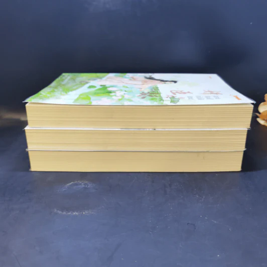 นิยายแจ่มใส นิยายเรื่องนี้ข้าไม่ได้เขียน เล่ม 1-3 - ฉางโกวลั่วเยวี่ย รูปที่ 6