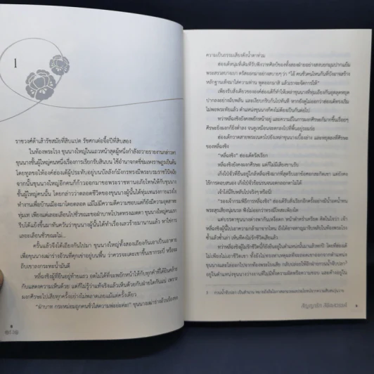 สัญญารักลิขิตสวรรค์ + พยศรักลิขิตใจ - เฮยไป๋เจี้ยนเยา รูปที่ 10