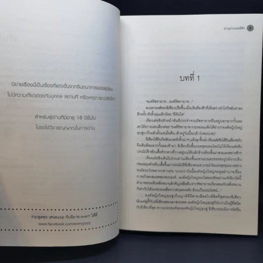 นิยายวาย รัชทายาทบัญชา 2 เล่มจบ - ม่านม่านเหอฉีตัว รูปที่ 9