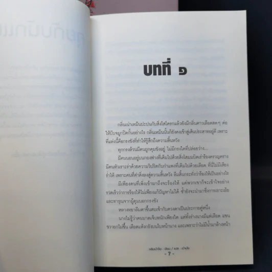 นิยายวาย ซีรีส์ชุด ตำหนักรักองค์จักรพรรดิ ลำดับที่ 4 ภาค ฮ่องเต้ที่แท้จริง เล่ม 1-2 - หลิงเป้าจือ รูปที่ 13
