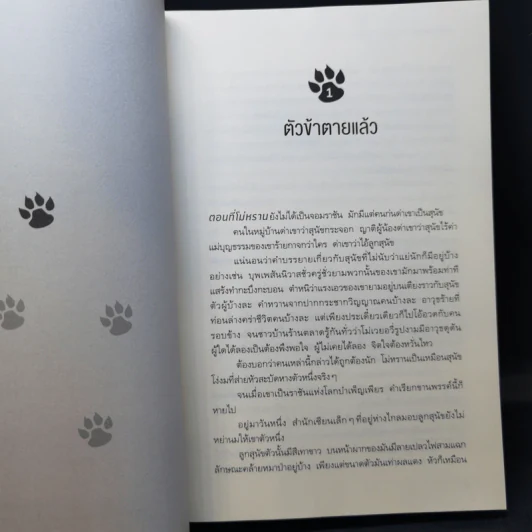 นิยายวาย ฮัสกี้หน้าโง่กับอาจารย์เหมียวขาวของเขา เล่ม 1-5 - โร่วเปาปู้ชือโร่ว (rou bao bu chi rou) รูปที่ 13