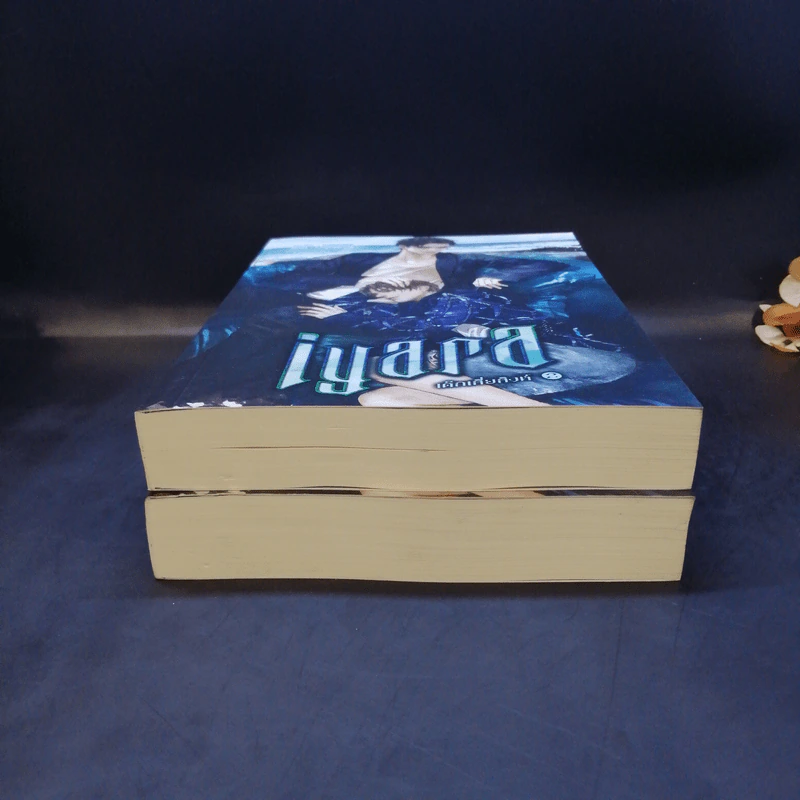 นิยายวาย Iyara เด็กเสี่ยสิงห์ 2 เล่มจบ - คาเร็น ฮาลเลอร์ รูปที่ 4