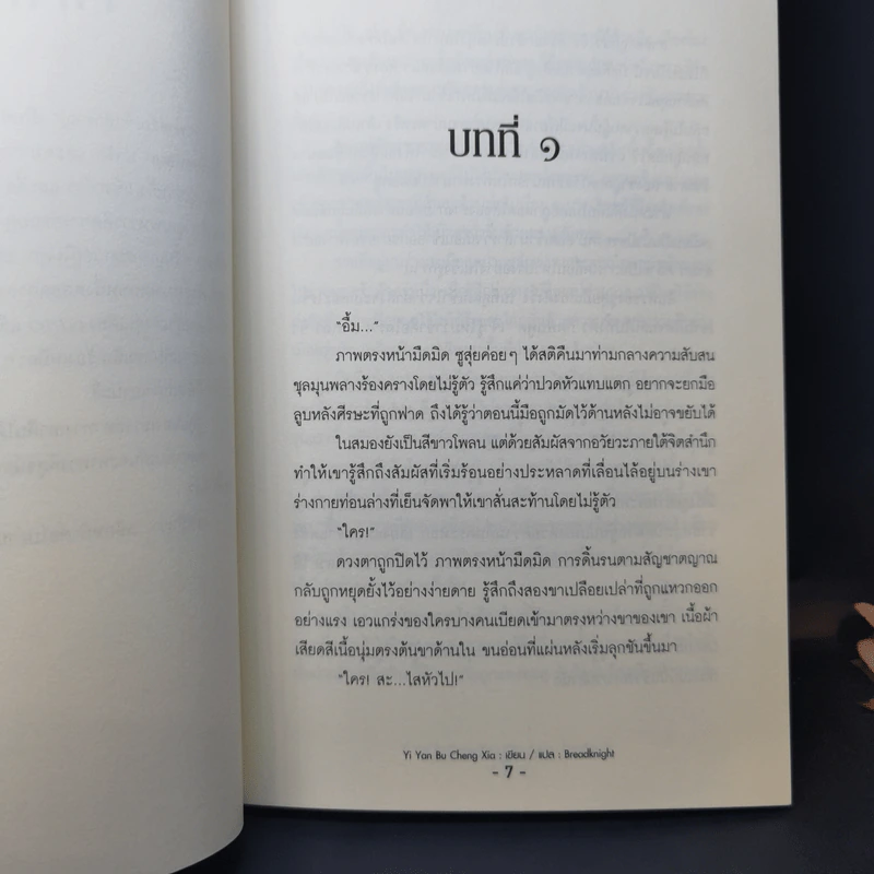 นิยายวาย ทาสรักเจ้าสำราญ 2 เล่มจบ - Yi Yan Bu Cheng Xia รูปที่ 9